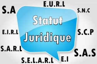 statut juridique
