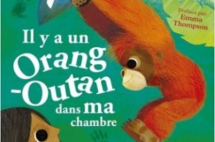 il-y-a-un-orang-outan-dans-ma-chambre-grund