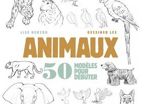 cahiers-dessinateur-dessiner-animaux-mango