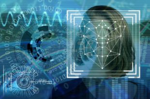 cryptomonnaies
