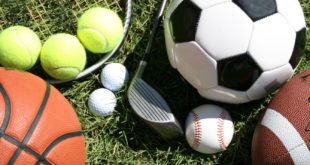 Différentes balles de sport sur l'herbe