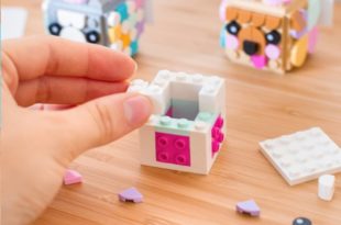 cheerz x LEGO DOTS