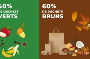 Compostage Domestique Gilles Berdugo - 40% De Dechets Verts 60% De Dechets Bruns