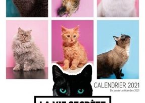 calendrier-2021-vie-secrete-des-chats-larousse