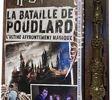 la-bataille-de-poudlard-gallimard