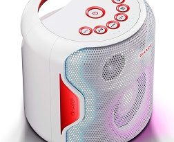 sharp-enceinte-PS-919-coté