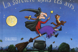 La sorcière dans les airs