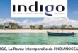 Indigo : Une invitation au voyage dans l’Indianocéanie