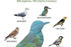 oiseaux-de-france-europe-guide-larousse