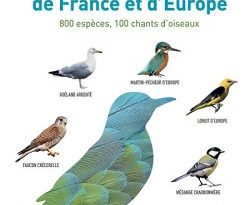 oiseaux-de-france-europe-guide-larousse