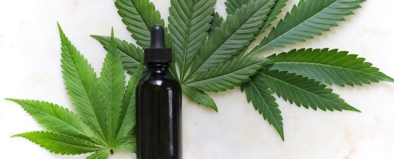 Feuilles de cannabis avec une fiole