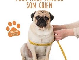 4-semaines-pour-faire-maigrir-son-chien-larousse
