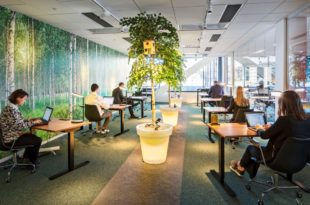 espace-de-travail-vert