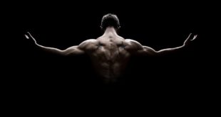 exercices pour bien travailler ses muscles dorsaux