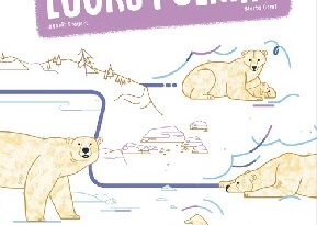 suis-du-doigt-ours-polaire-cabane-bleue