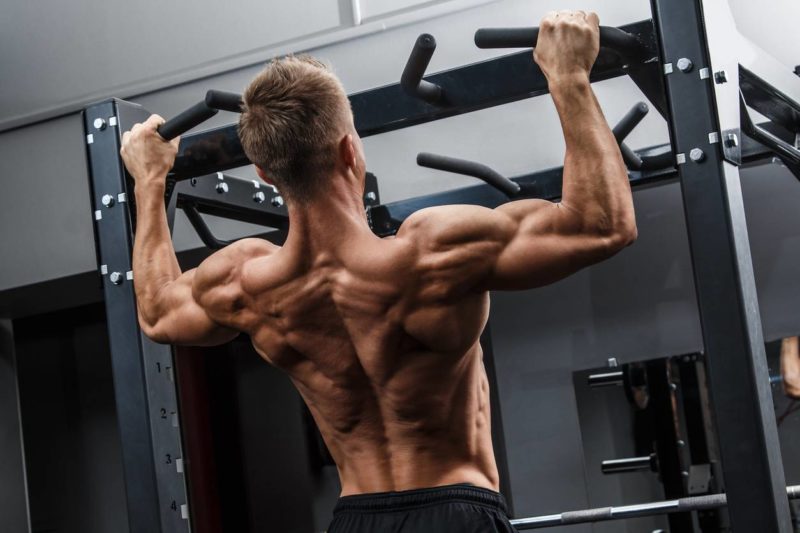 exercices pour bien travailler ses muscles dorsaux