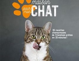 des-croquettes-maison-pour-mon-chat-larousse