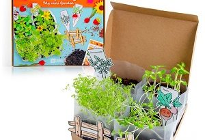 atelier-mini-potager-coffret-radis-et-capucine
