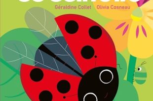 coccinelle-tout-mignon-sarbacane