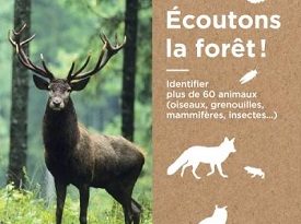 ecoutons-la-foret-livre-cd-larousse