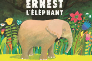 ernest-elephant-album-kaleidoscope