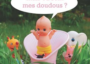 mais-ou-sont-mais-doudous-nathan