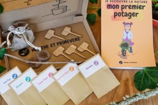 menthe-primevere-box-mon-premier-potager