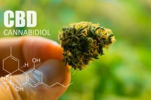 CBD - cannabidiol