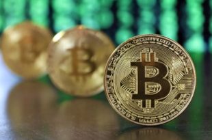 Cryptomonaies