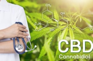 le CBD en France