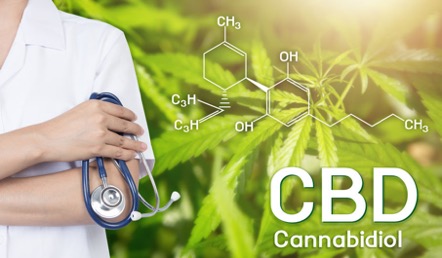 le CBD en France
