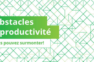 obstacles à la productivité