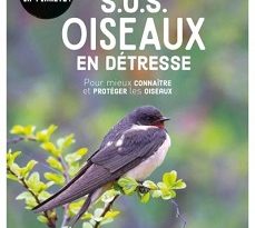 sauvons-la-planete-sos-oiseaux-en-detresse-larousse
