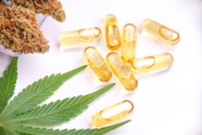 alimentation cbd