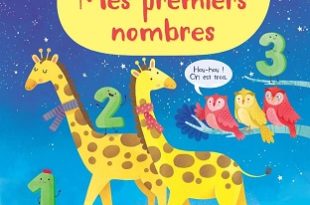 mes-premiers-nombres-usborne