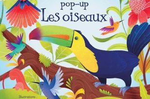 mon-livre-pop-up-les-oiseaux-usborne