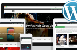 hebergement wordpress