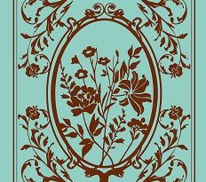 madame-bovary-beau-livre-hauteville