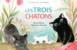 les-trois-chatons-didier-jeunesse