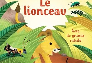 mon-petit-livre-rabats-le-lionceau-usborne