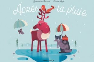 après-la-pluie-flammarion