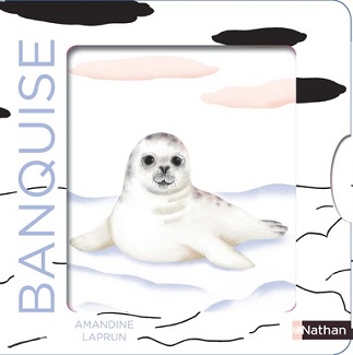banquise-les-belles-couleurs-nathan