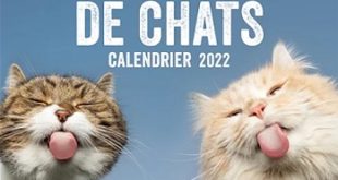 calendrier-2022-droles-de-chats-hugo-cie