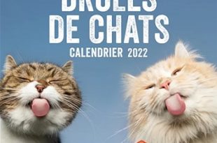 calendrier-2022-droles-de-chats-hugo-cie