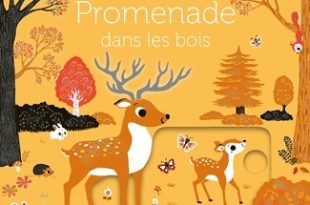 promenade-dans-la-foret-petit-nathan
