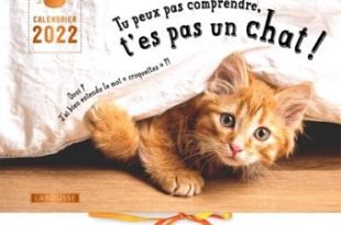 tu-peux-pas-comprendre-tes-pas-un-chat-calendrier-2022-larousse