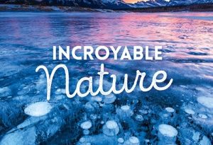 incroyable-nature-calendrier-2022-hugo-cie