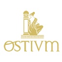 logo-OSTIUM