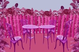 renforcer l’intimité de votre jardin