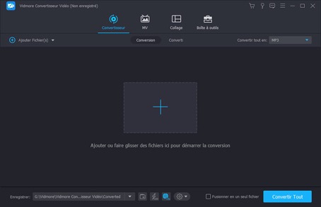 vidmore-convertisseur-video